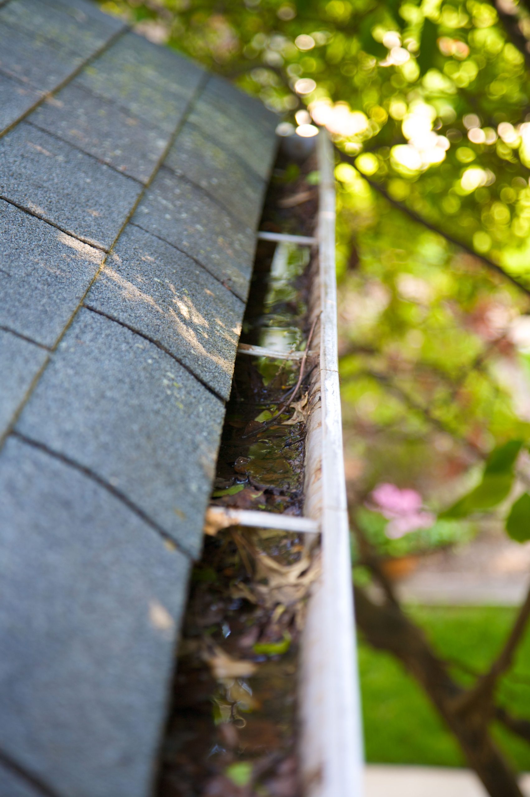 Gutter Repair Kent WA