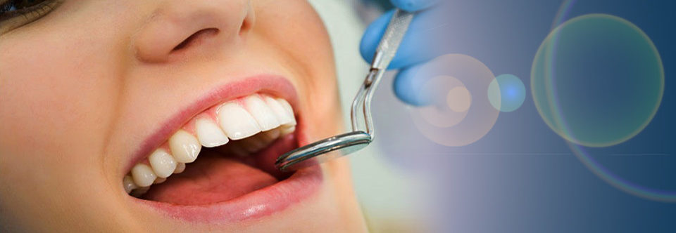 Gabriel Malouf DDS