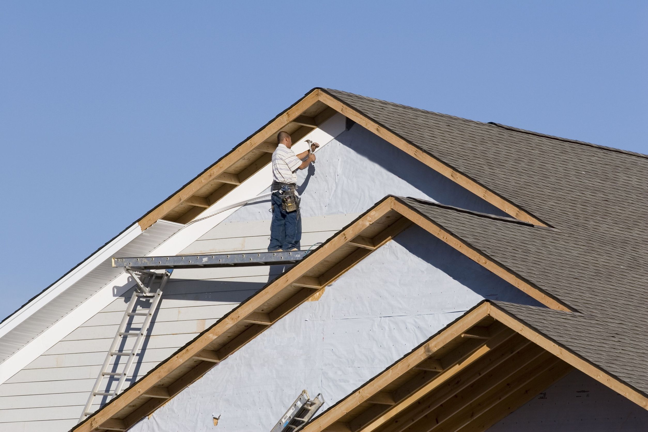 Rose Tree & Roofing Contractors
