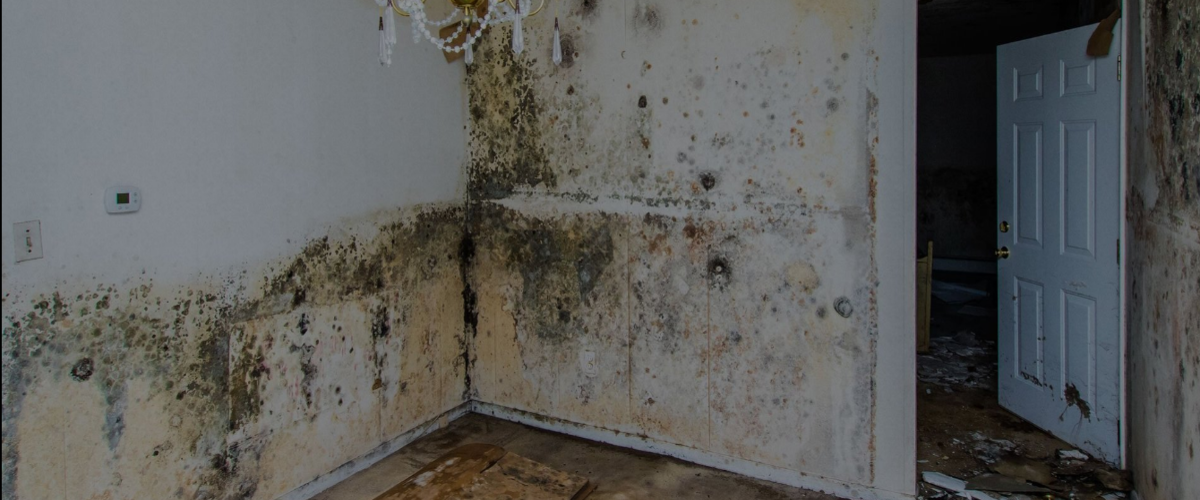 Drywall Repair Lubbock TX