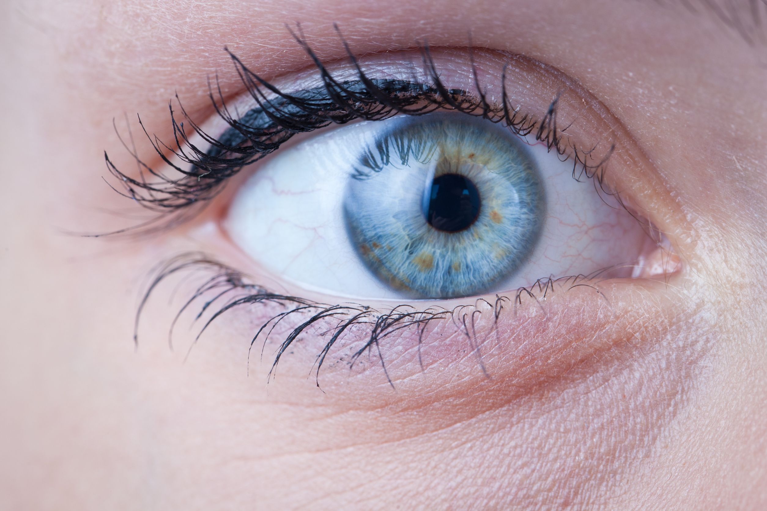 Maida CustomVision at Florida Eye Specialists