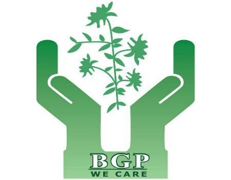 Nicotine Supplier and Manufacturer – BGP Group
