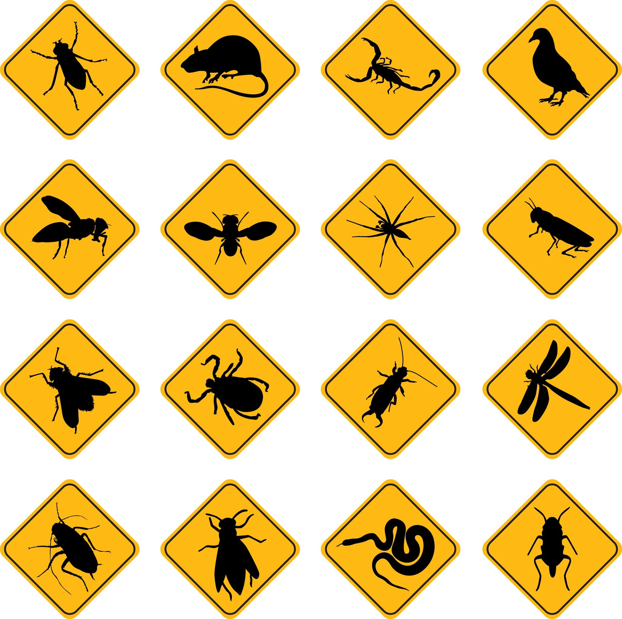 Bed Bug Exterminator Lakewood NJ
