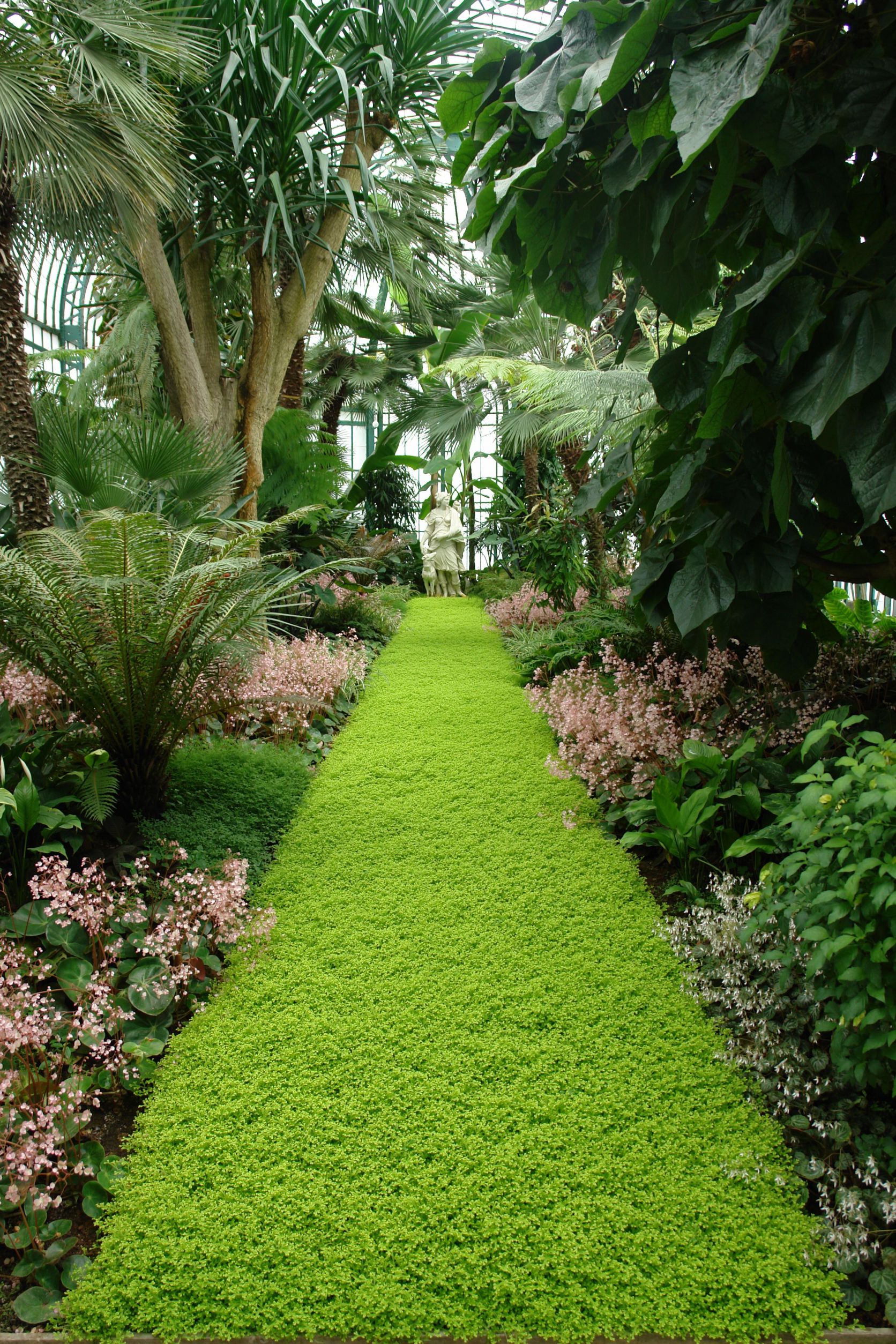 Professional Landscaping Solutions in Canmore, AB