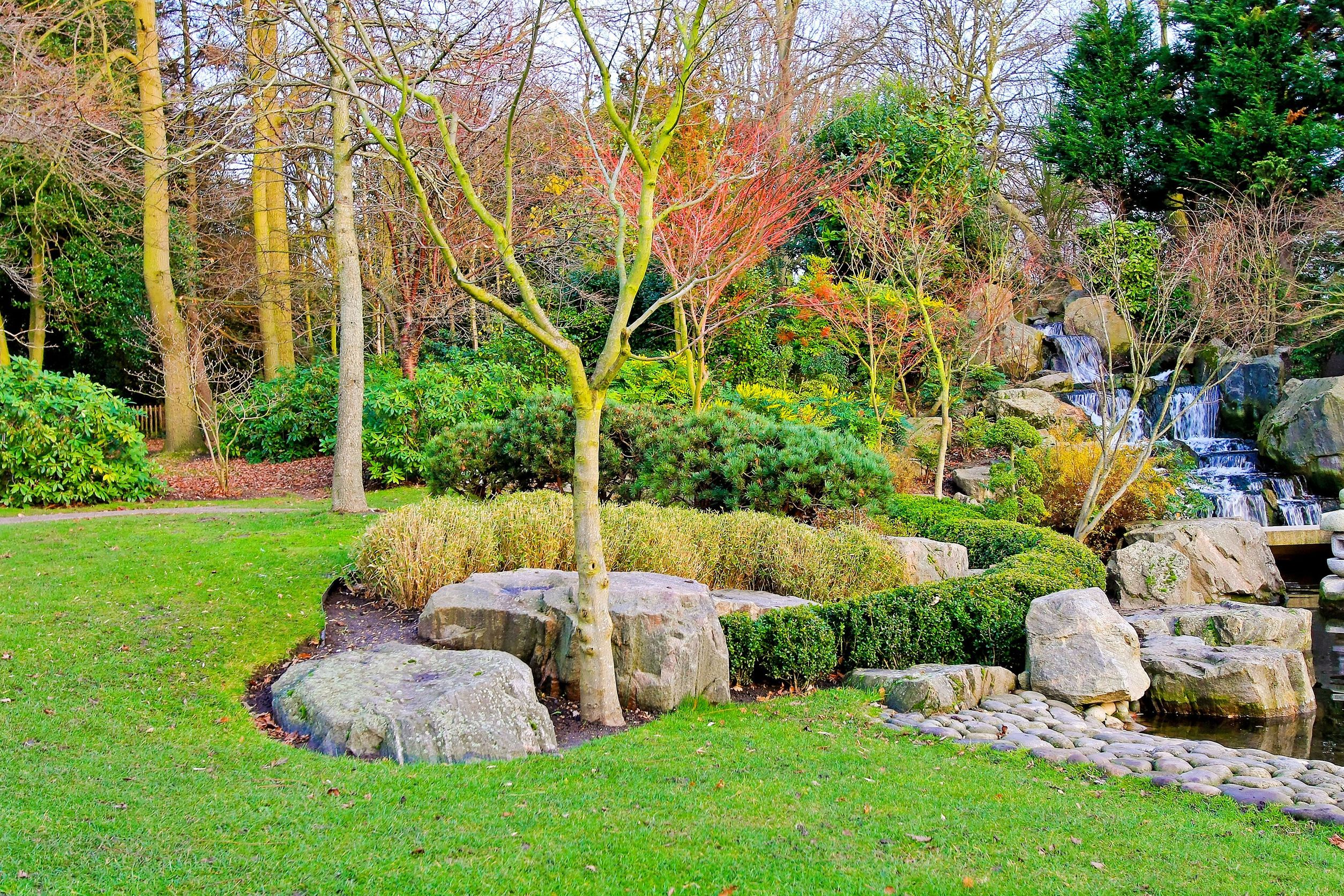 King’s Landscaping Design