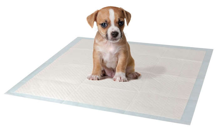 PetsWorld Inc – Effective Dog Puppy Training Pads