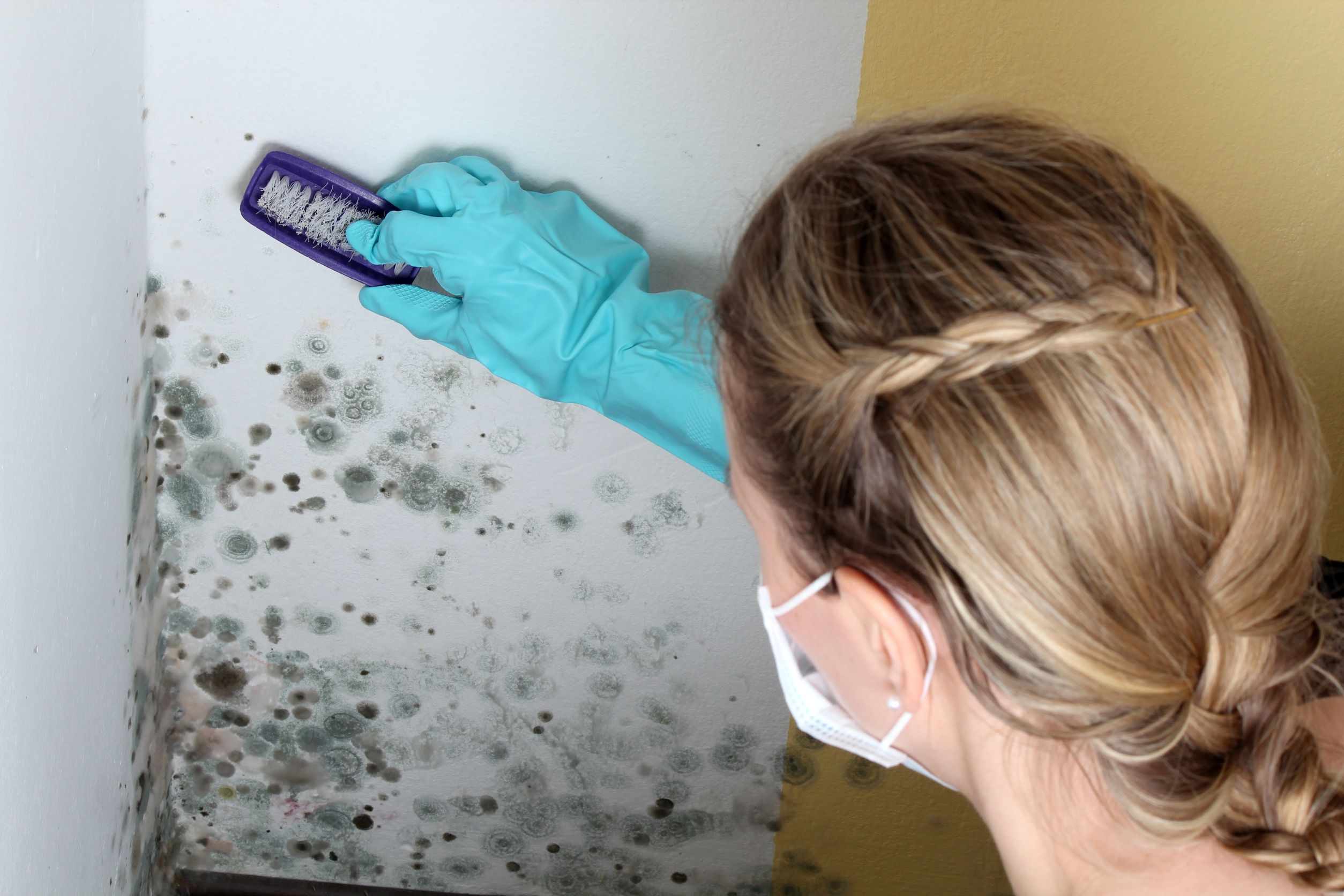The Best Cleanup Services In Washington And Oregon