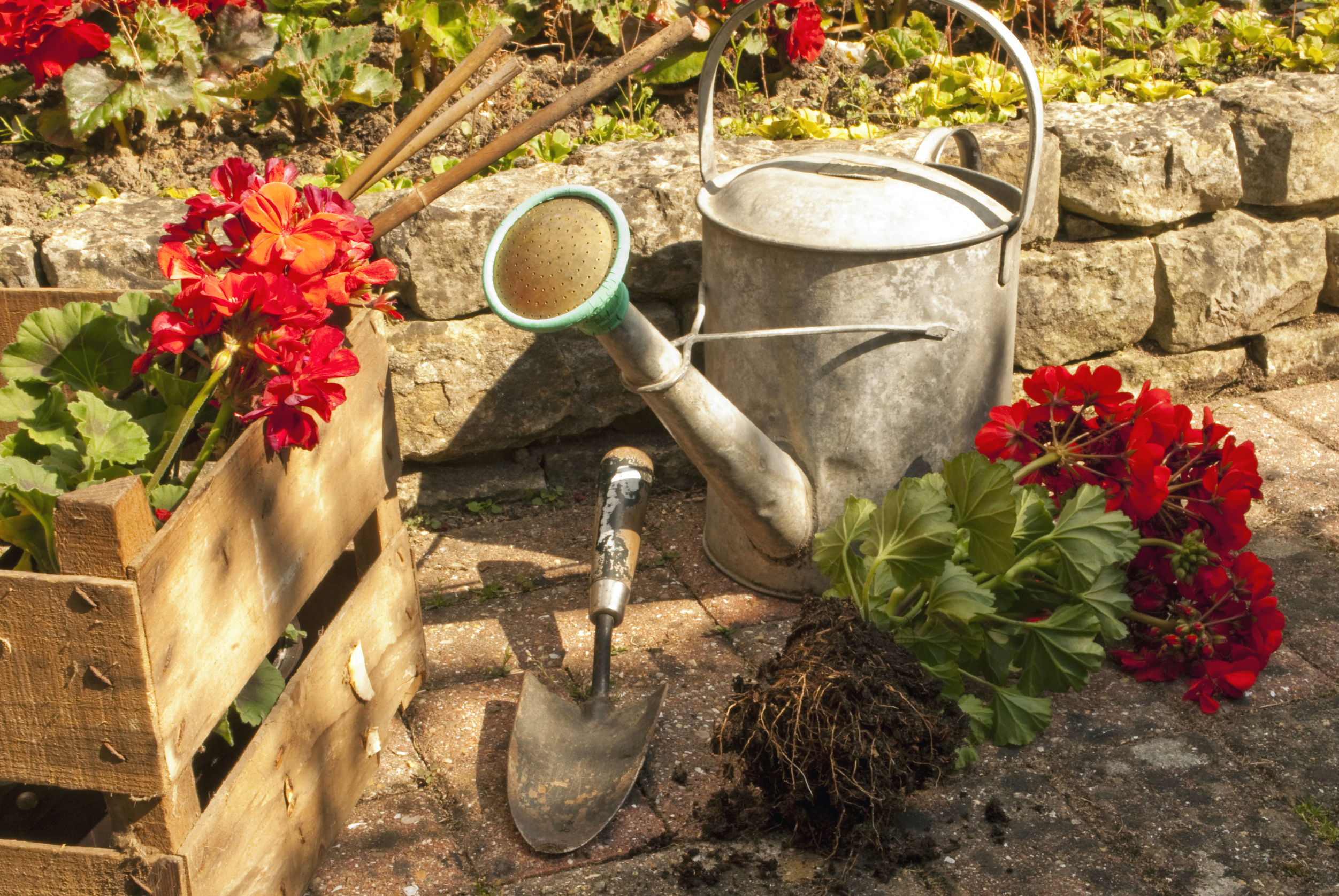 The Landscapers That Bring Your Landscape Vision To Life!