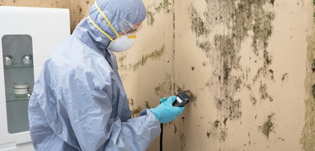Mold Testing San Francisco