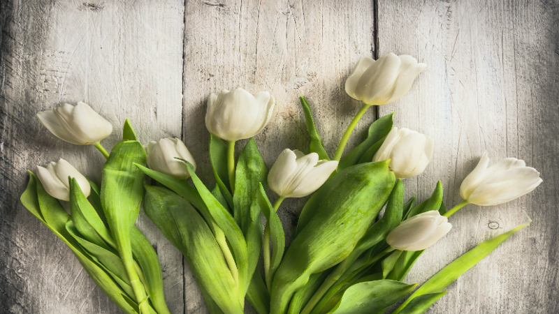 Village Flower Shoppe – Your Premier Palo Alto Florist