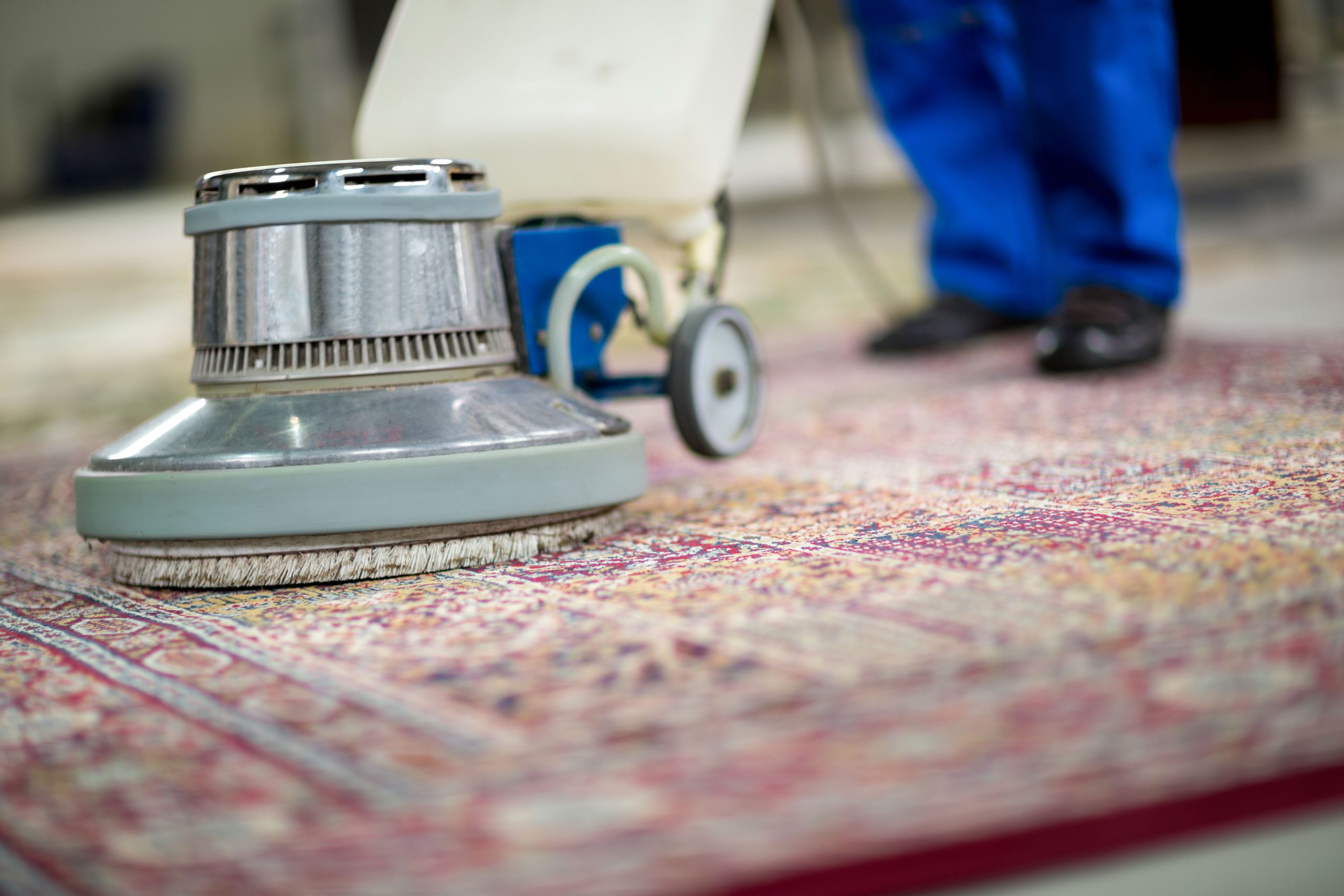 Area Rugs In BellevueArea Rugs In Bellevue