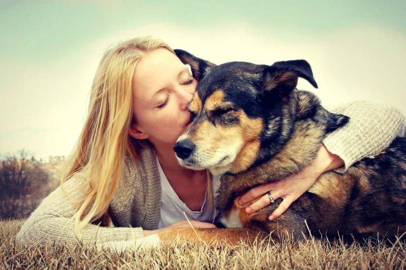 Find a Sitter for Your Pets in Manhattan When Care is Needed