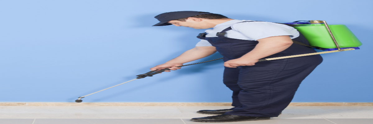 Pest Control Palm Beach County