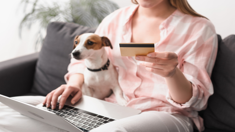 Online Shopping For Dogs
