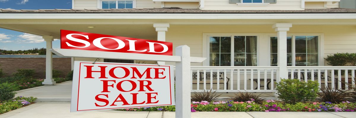 Grapevine Realty Inc.
