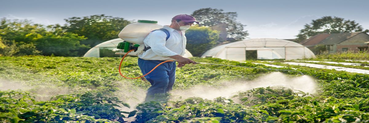 Vegetation Management Fort McMurray
