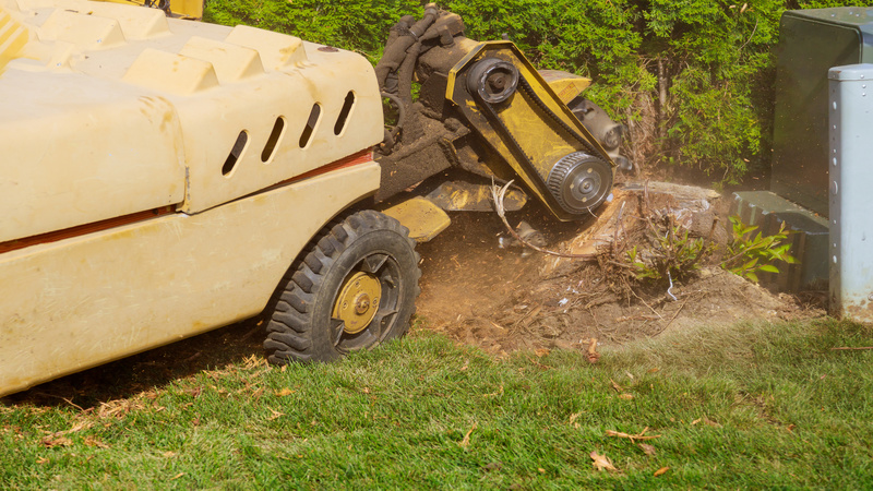 Tree Maintenance Maple Grove MN