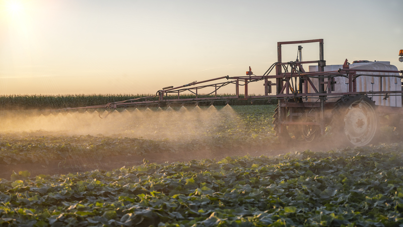 Weeding Vegetable Crops