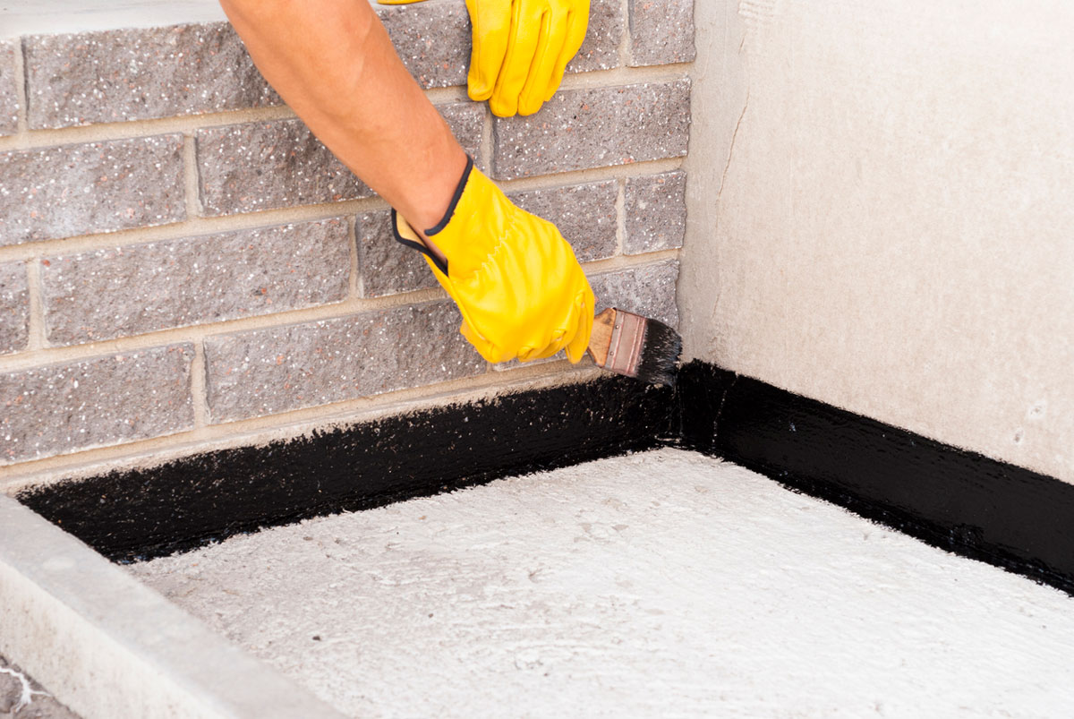 Hire Mold Removal Services in Rochester