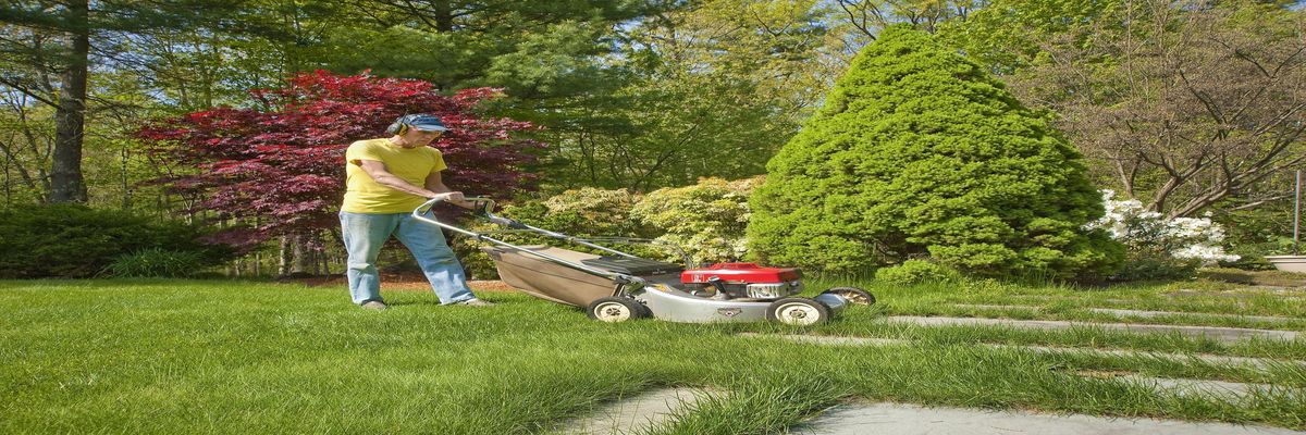 Landscaping Durham Region