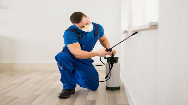 Reliable Pest Control Solutions