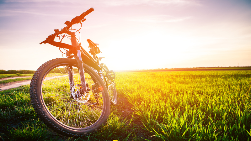 Electric Mountain Bike