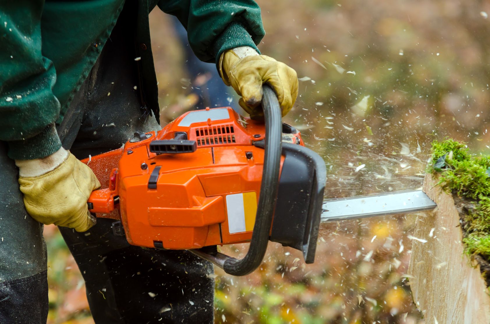 O’Connors Tree Services – Tree Services In Langwarrin