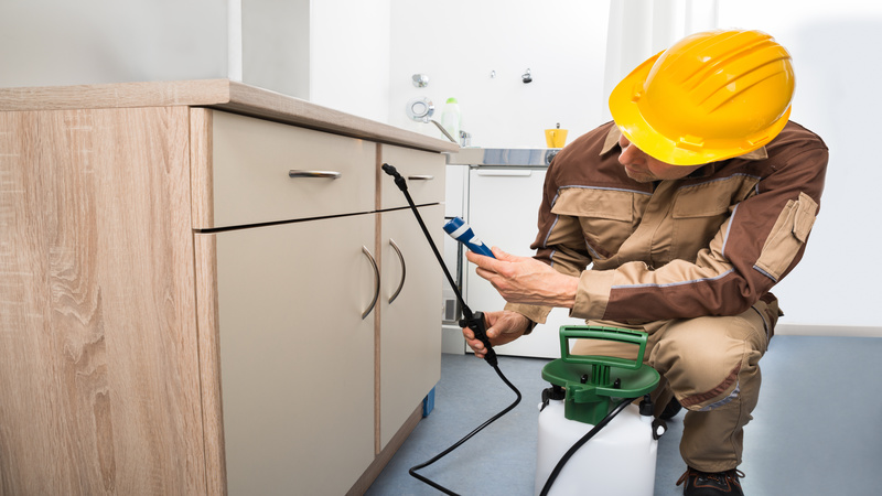All American Pest Services
