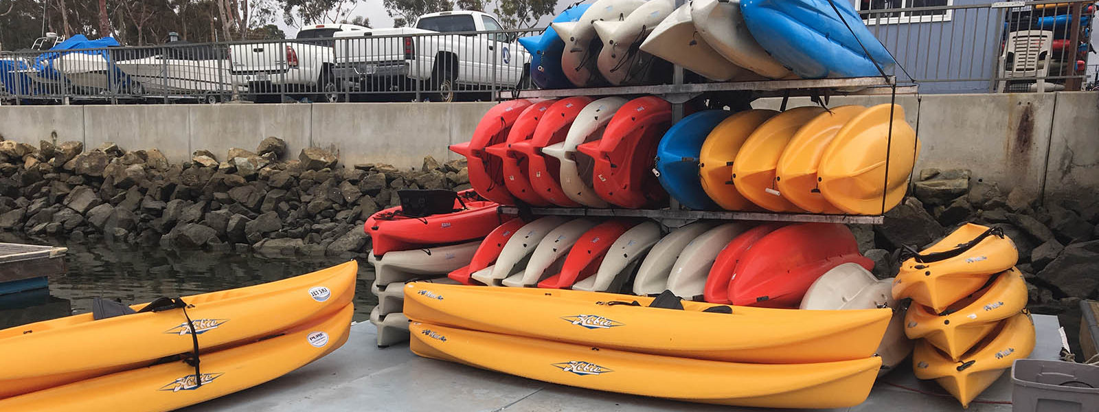 Pure Watersports – Dana Point, LLC