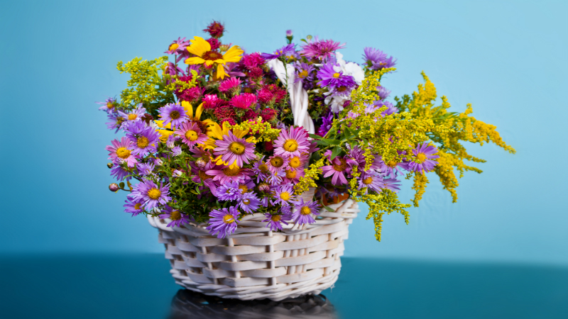 Flower Creations is the Best Florist You Can Ever Have in Toronto