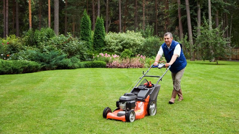 Lawn Equipments Are Offered By PrairieCoast Equipment In Kelowna