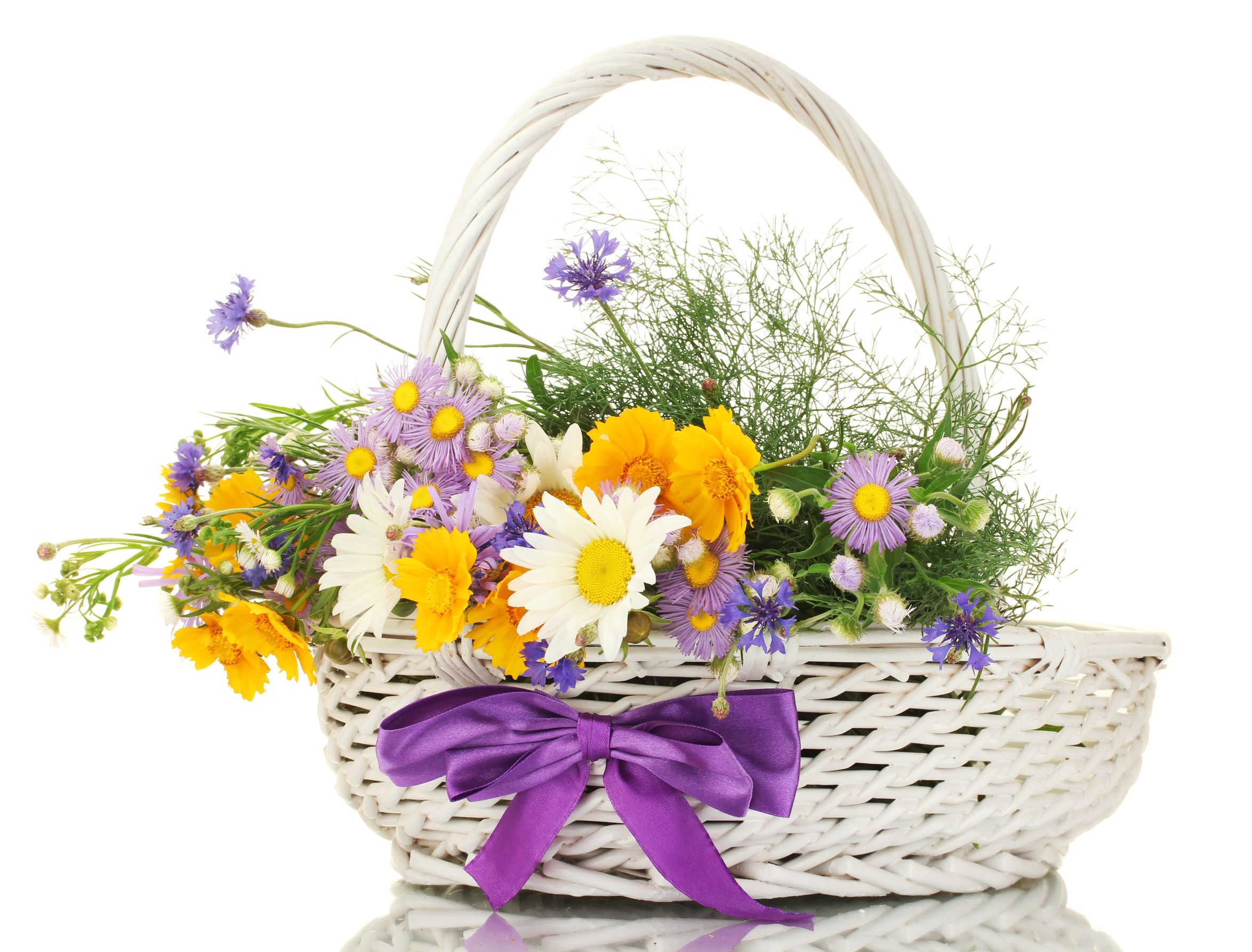 Flower Creations Is The Top Flower Shop in Toronto