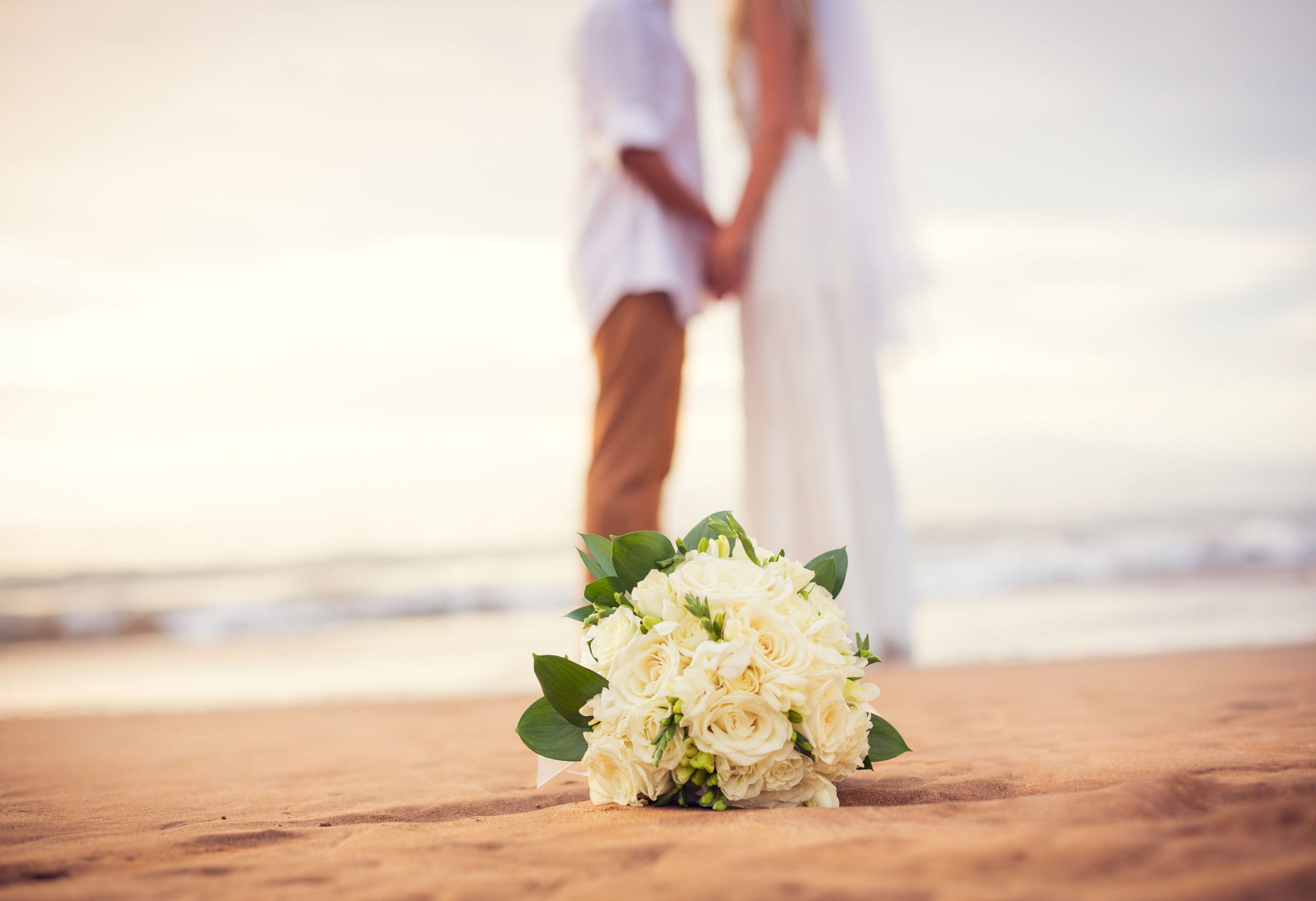 Let’s Knot & Say We Did