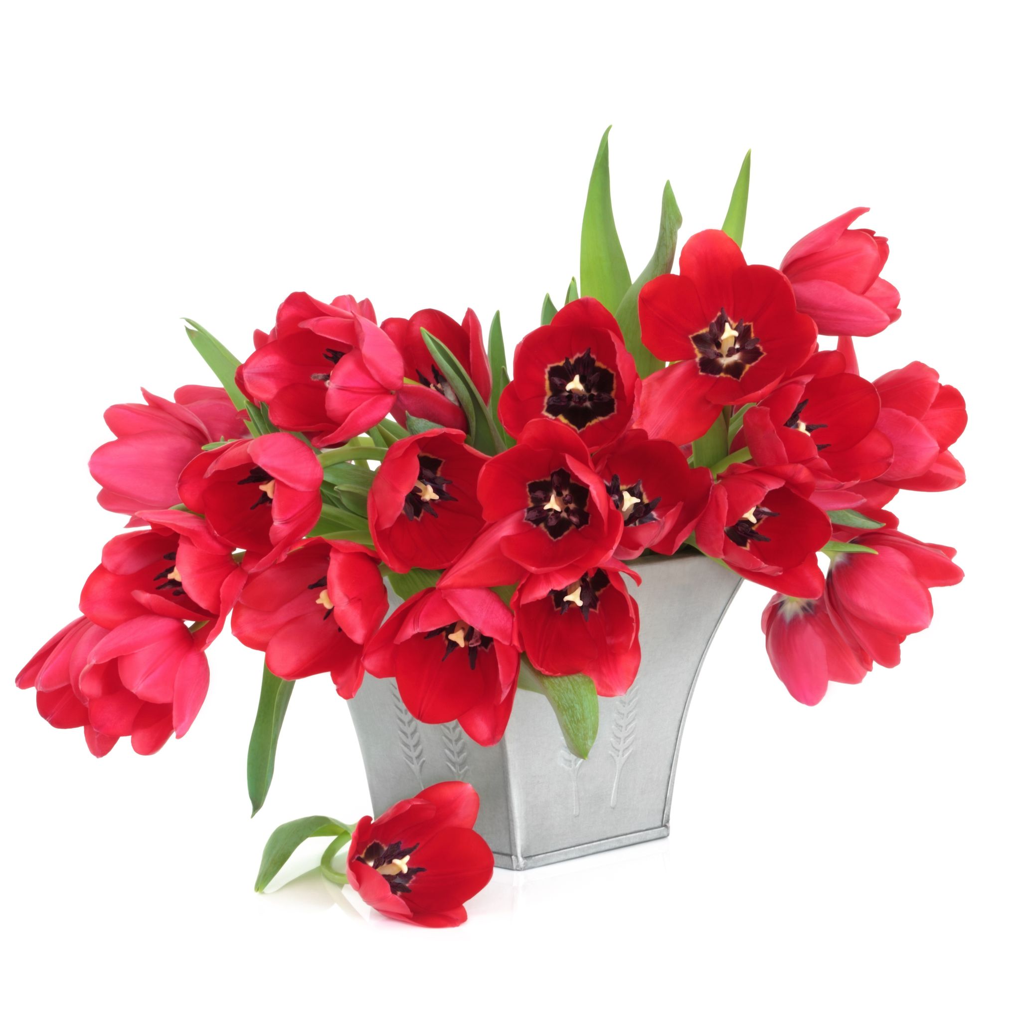 Contact Nature’s Best Floral If You Are Looking For Mother’s Day Flowers in Green Bay
