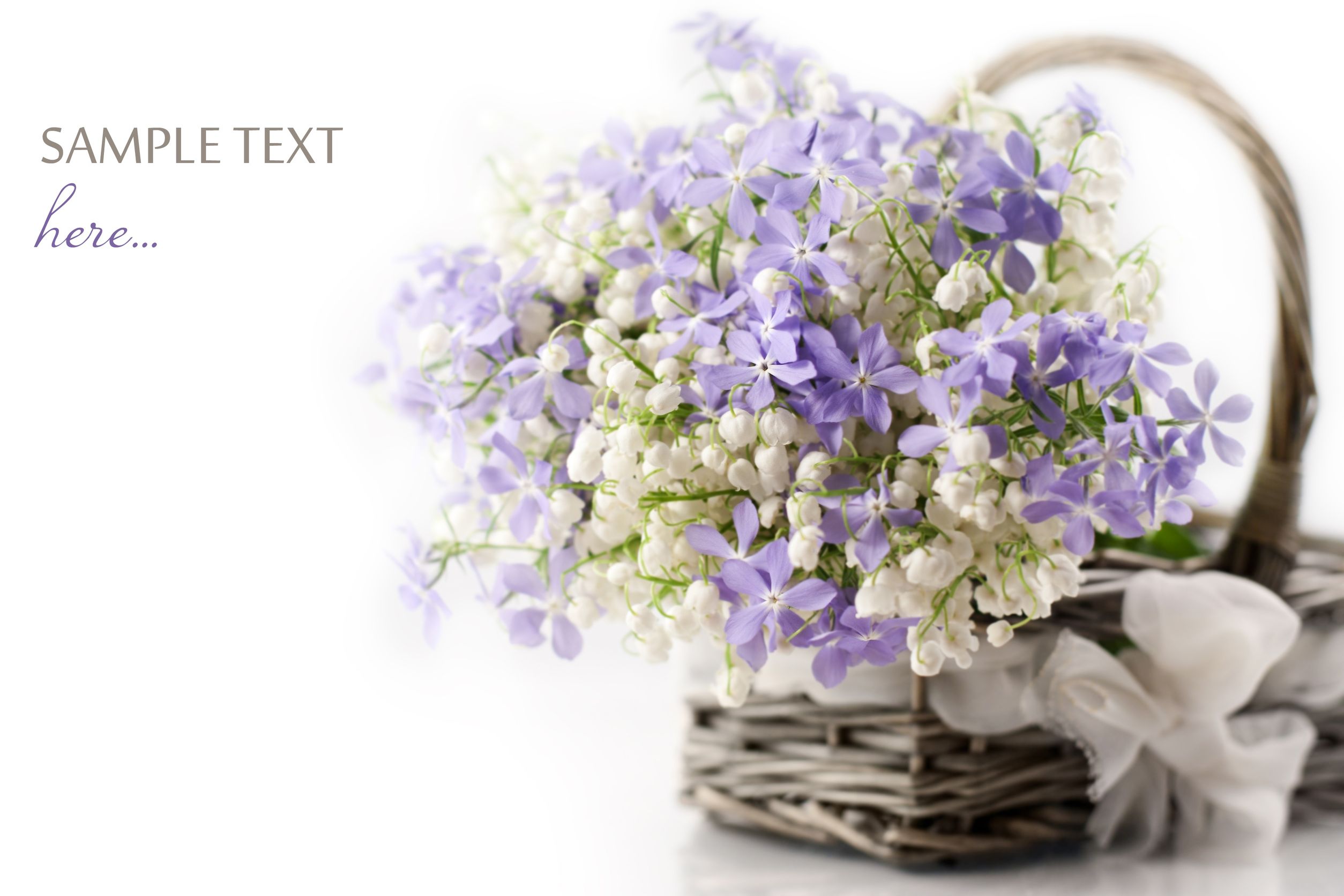 Nature’s Best Floral Offers Birthday Flowers Delivery in Green Bay