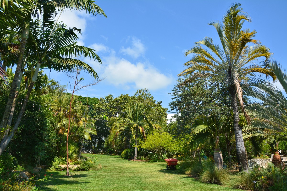 Creative Concepts Landscapes: Landscaping Service Company Burlington, Ontario