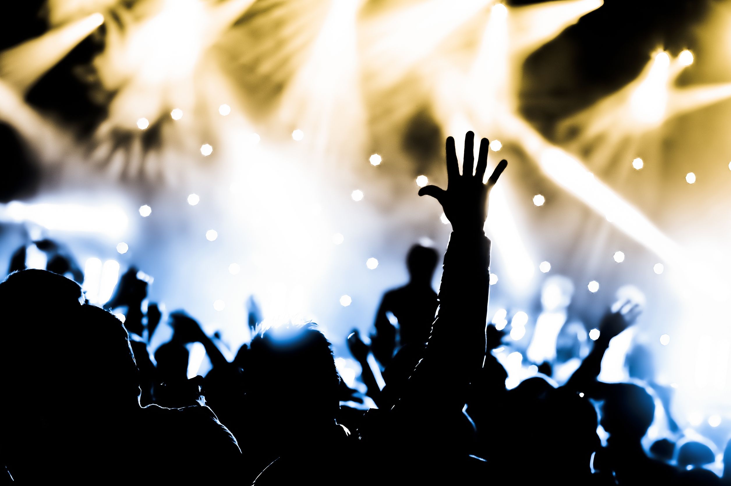 Elevate Your Wedding With Live Wedding Bands in Chicago